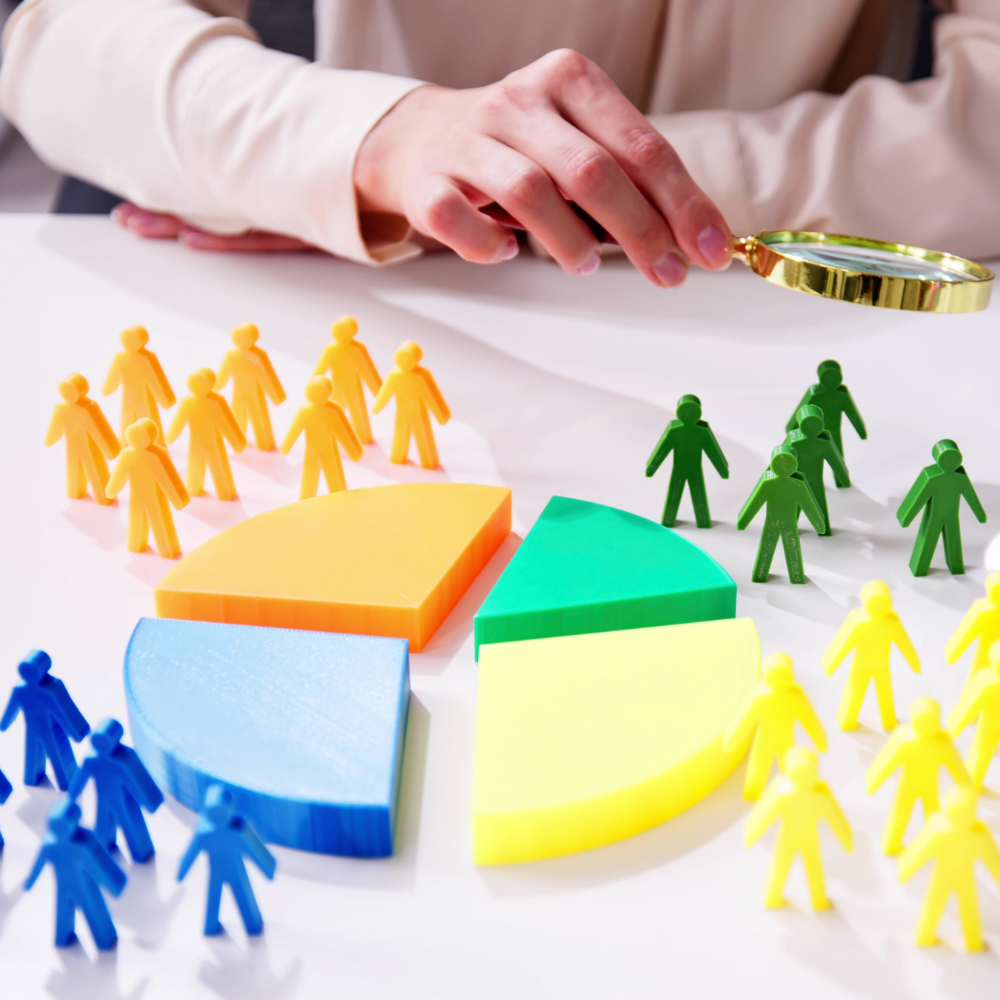 Unlocking business potential: The power of effective market segmentation VLMS Global